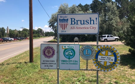 Community of Brush