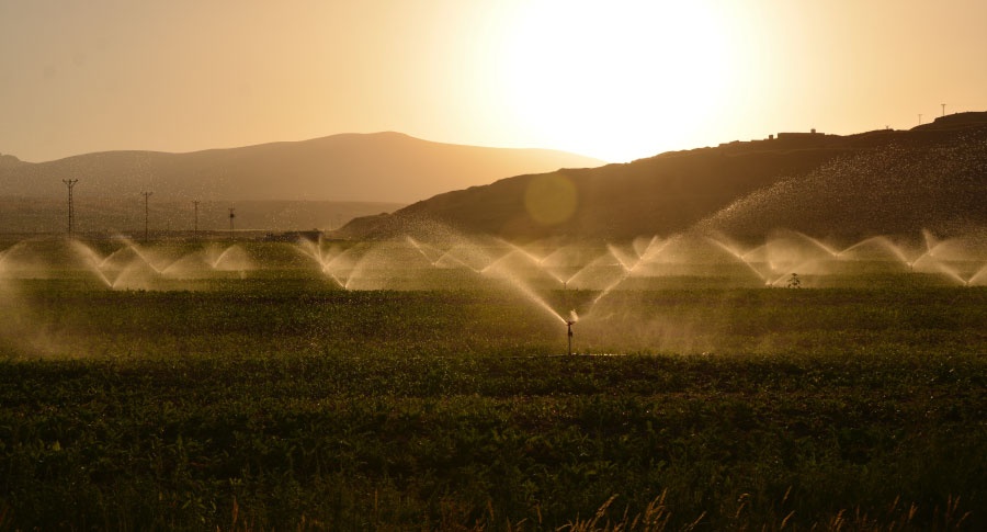 Smart tech for agriculture